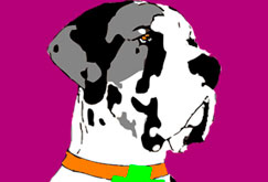 Veterinaria Eclipse Casinos